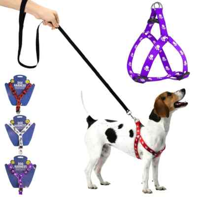 Pack Adjustable Dog Harness – No Pull, Padded, Strong for Small