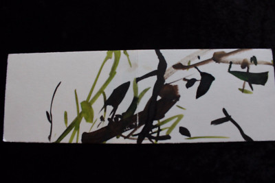 Lee Sae Bom, Congratulations Card Acrylic on Paper
