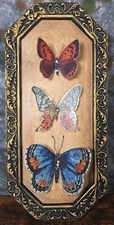 OOAK Dark Academia 3D Butterfly Art Framed Vintage Upcycled Gothic Eclectic 