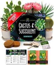 Succulent & Cactus Seed Kit for Planting – [Enthusiasts Favorites]