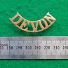 WW1 British Army The Devonshire DEVON Regiment Shoulder Title Badge Infantry