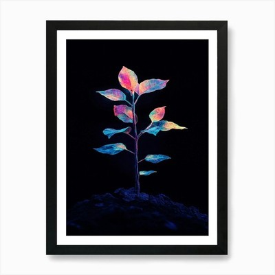 Rainbow Plant 12 Art Print Framed Wall Art Poster Canvas Print Picture