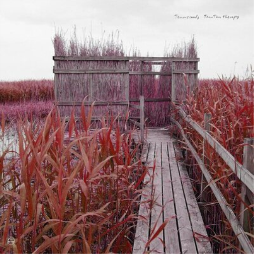 Tenniscoats Tan-tan Therapy (CD) Album