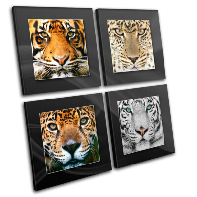 Tiger Löwe Gepard Tiere LEINWAND WANDBILD Bild Druck VA