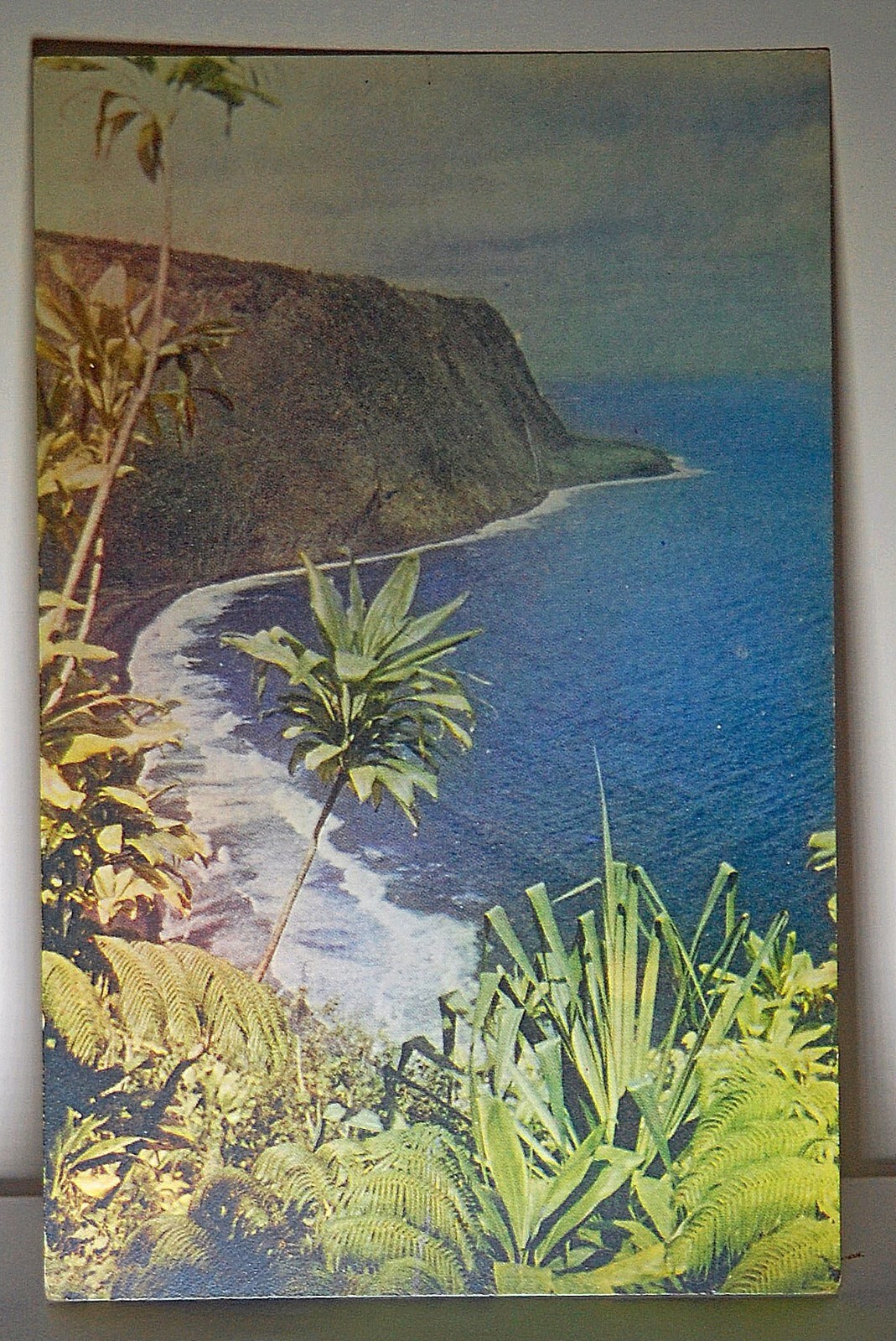 Foto 1 di 2