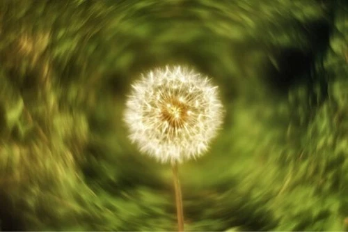 Petzval Modification Helios 44M 58mm / f.2 Soviet Lens Dreamy Swirly Boke M42