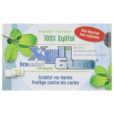 Kaugummi - Icemint 16,8g | XYLI GUM