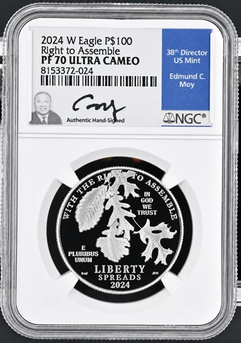 2024-W American Platinum Eagle — photo from the most recent tracked eBay sale