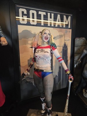 Hot Toys - Harley Quin - MMS383 - Special Edition