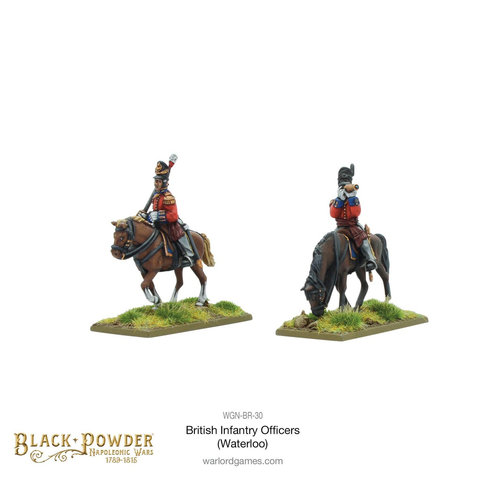 Black Powder - Mounted Napoleonic British Infantry Officers (Waterloo campaign)