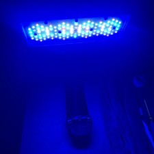 Ecotech Marine Radion XR30 G6 Pro Blue