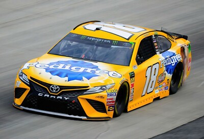 Kyle Busch Pedigree NASCAR 13x19 Poster Gloss Photo Print KBA11K