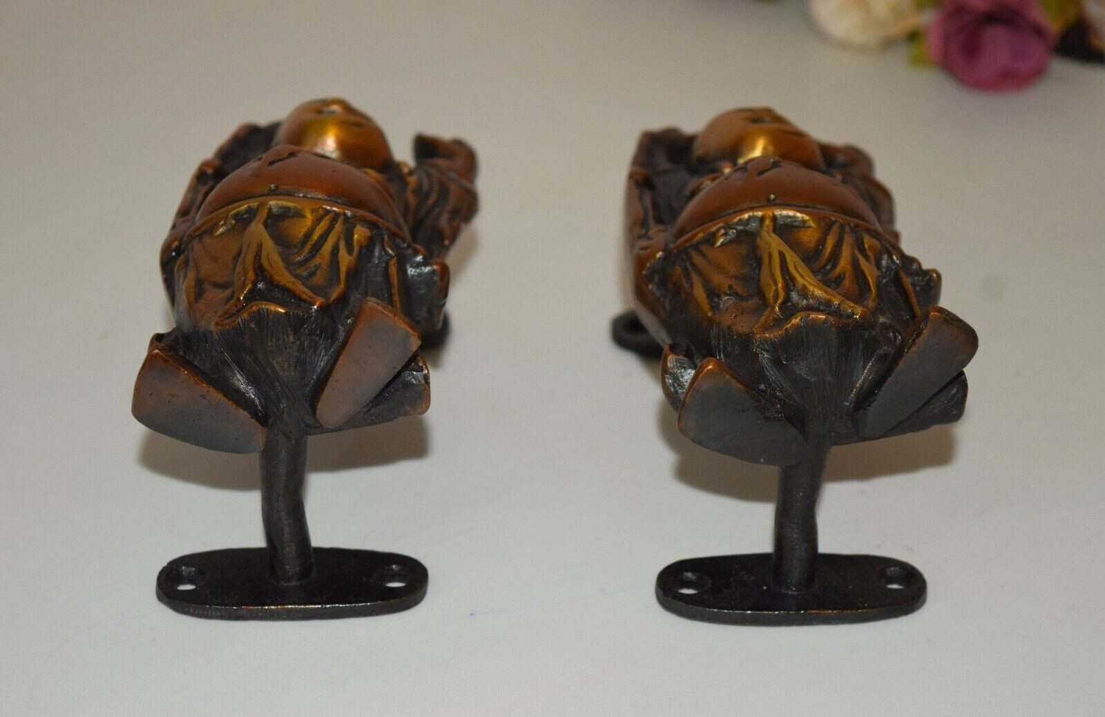 Picture 5 of 12