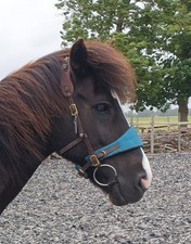 Equitrense Vario/Emilia mit Neckpatches, Side...