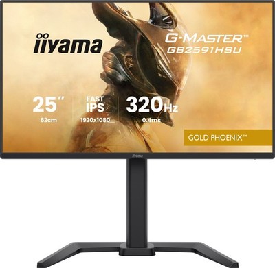 IIYAMA 68.6cm (24,5'') GB2591HSU-B1 16:9 2xHDMI+DP+2xUSB-C