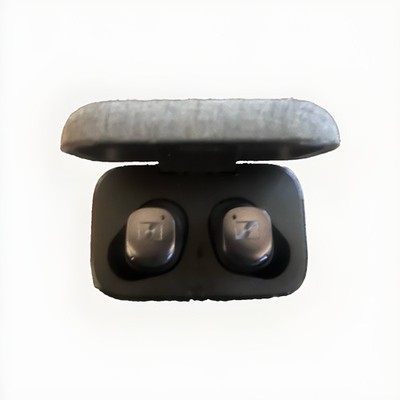 Sennheiser Momentum True Wireless Bluetooth Earbuds w/ Case Gray/Black