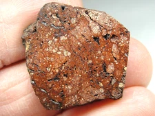 METEORITE WRONG - XRF Analysis - Top Quality - XRF-0146 - 4.99g - COA/Part Slice