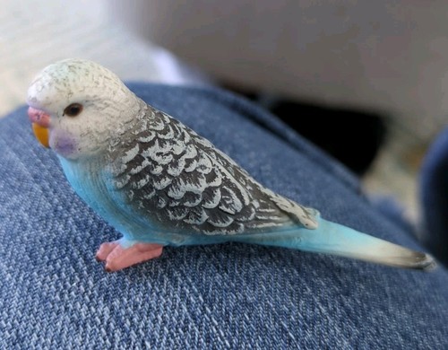 Schleich 14409 - Blue Budgie / Budgerigar bird. Rare, retired model. Gently Used