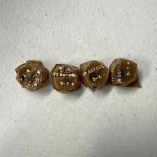 NEW TORRINGTON B-24 NEEDLE ROLLER BEARING Total Of 4 New