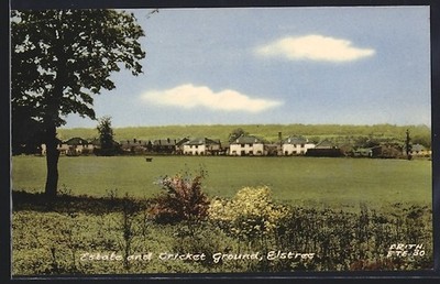 Elstree, Estate and Cricket Ground, Postcard 
