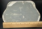 Nativity Set Solid Plaster Pre 1950s 12 Inch — photo 9