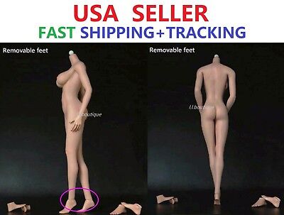JIAOU DOLL 1//6 FEMALE SEAMLESS LARGE Bust SUNTAN Figure Body w// DETACHABLE FEET