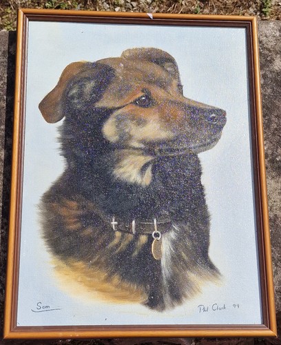Signed Phil Clark Original Oil Painting Dog Portrait 'Sam' Black & Tan Collie