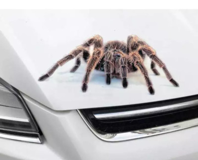 -3D Tarantula Spider- Car Truck SUV JDM Window Bumper Diecut Vinyl Decal Sticker