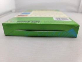 Adventure Island for NES Nintendo Complete In Box CIB Near Mint Shape