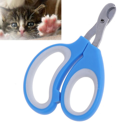 Pet Cat Dog Nail Clipper Cutter Stainless Steel Grooming Scissors Clippers..x - Picture 1 of 11