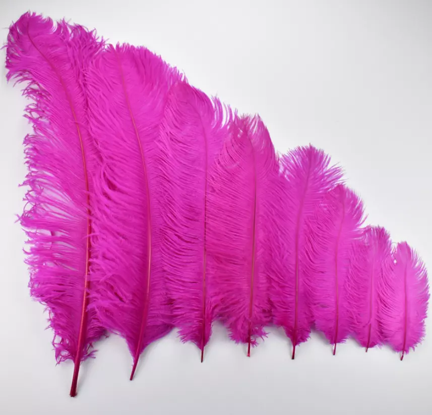 10pc Big Dyed Pink Ostrich Feathers Plume Home Centerpiece Wedding