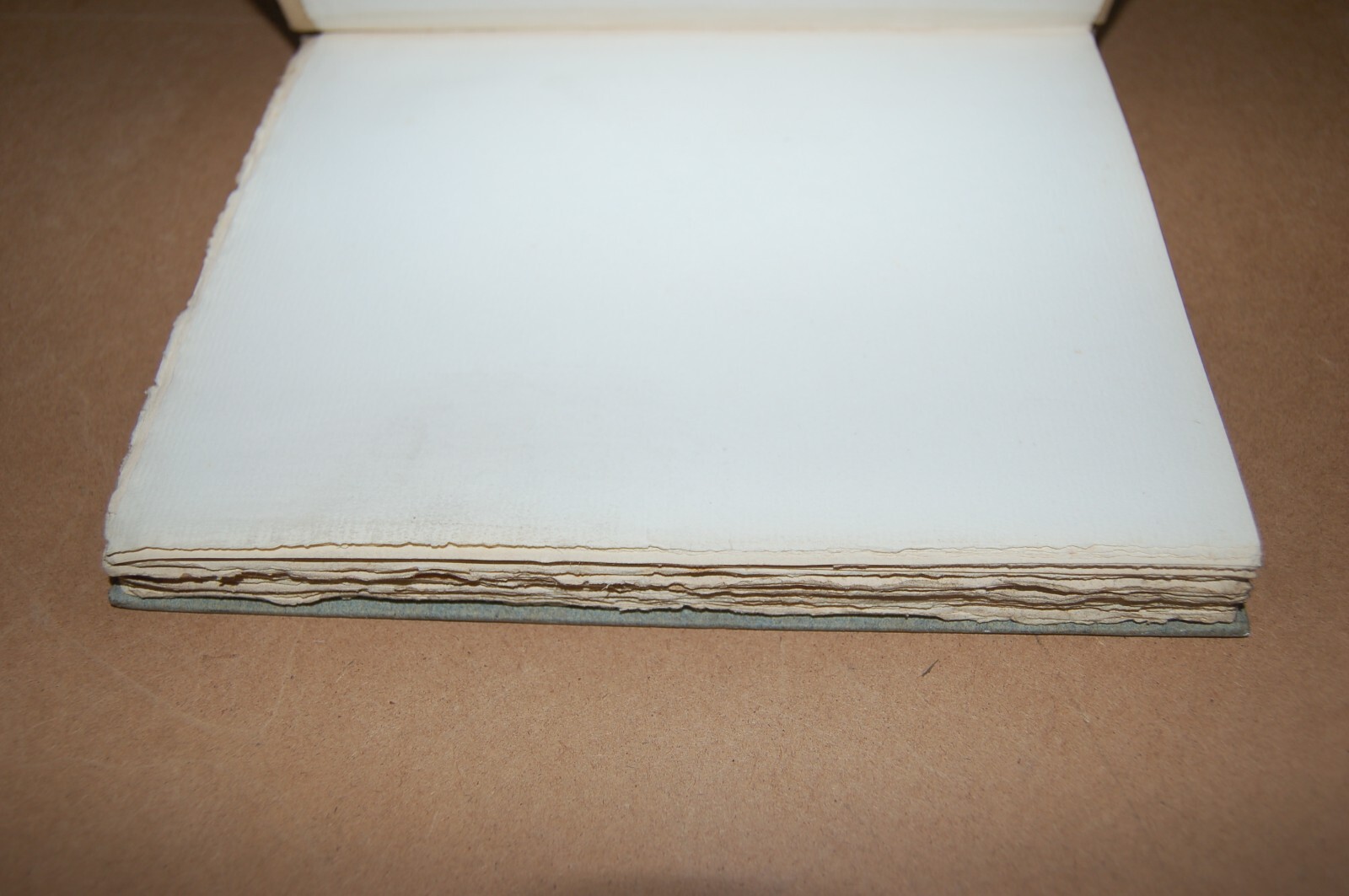 Picture 15 of 15