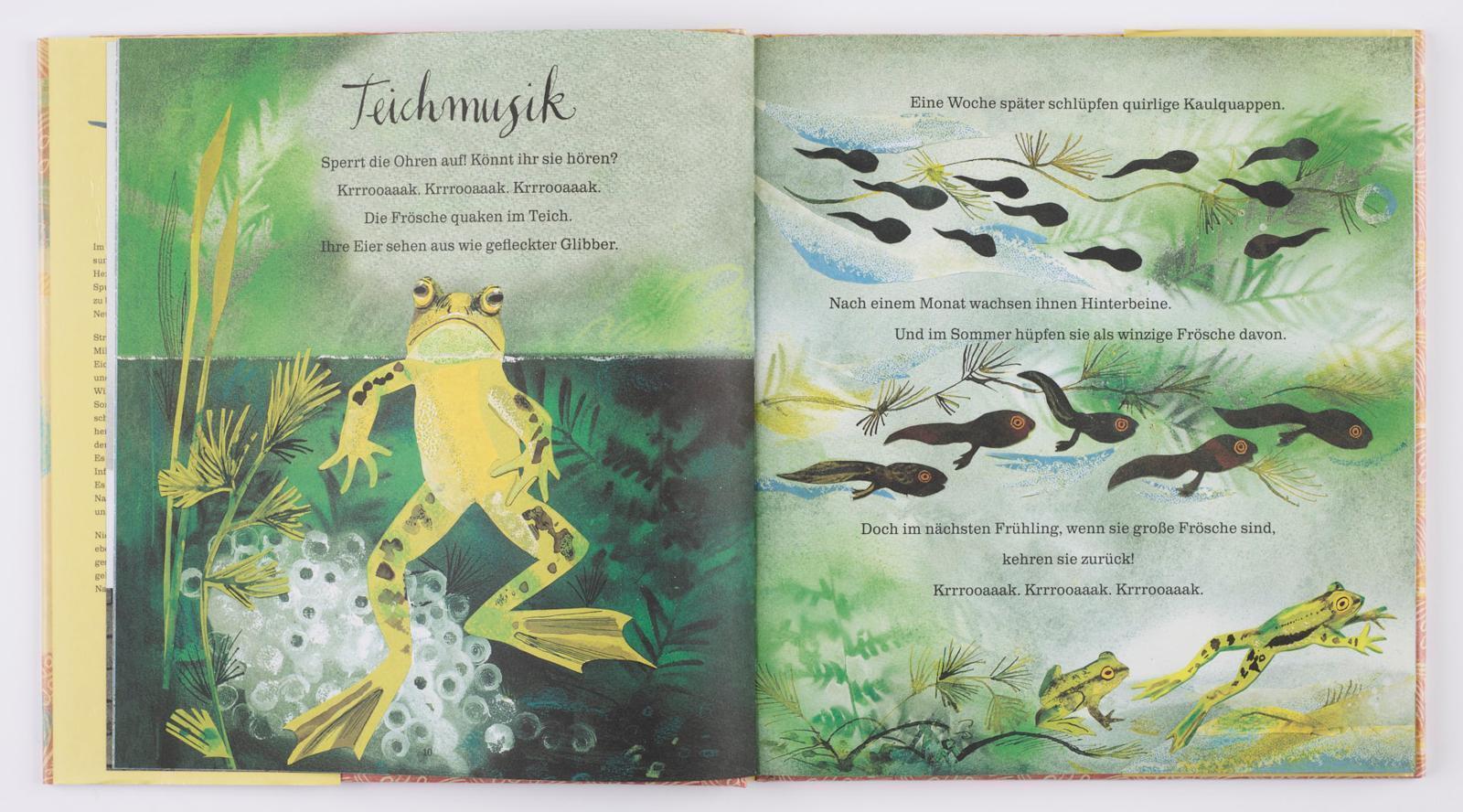 Thumbnail - Mein Erstes Großes Buch Von Der Natur | Nicola Davies | Buch | 108 S.