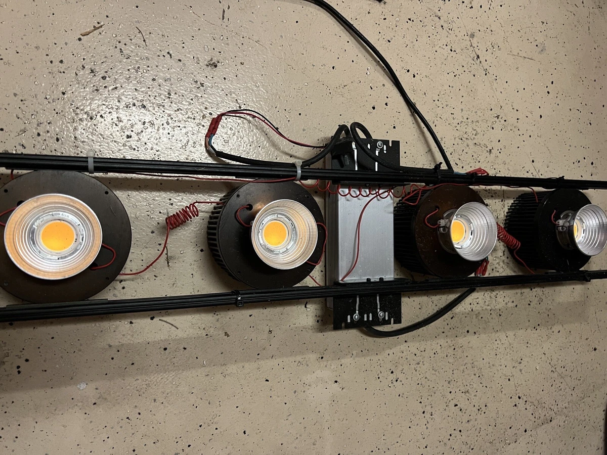Grow Light CREE LED 3500K with MEAN WELL HLG 320H C2100B Power