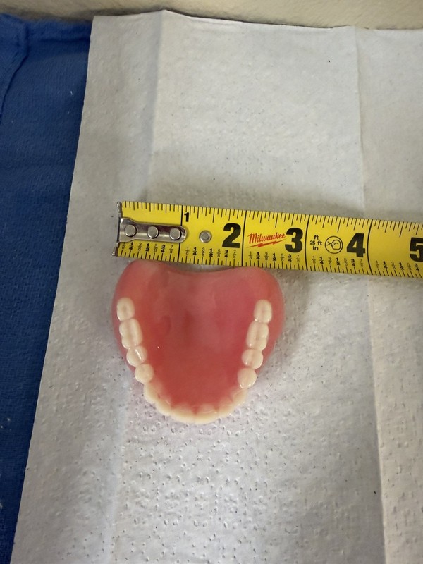 Vintage False Teeth Lot Dentures Upper, Partial And Lowers Medical Oddity Scrap