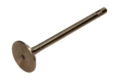 For Amp Paradowscy PVWG036-B-0-N exhaust valve VW 1.4/1.6 97-