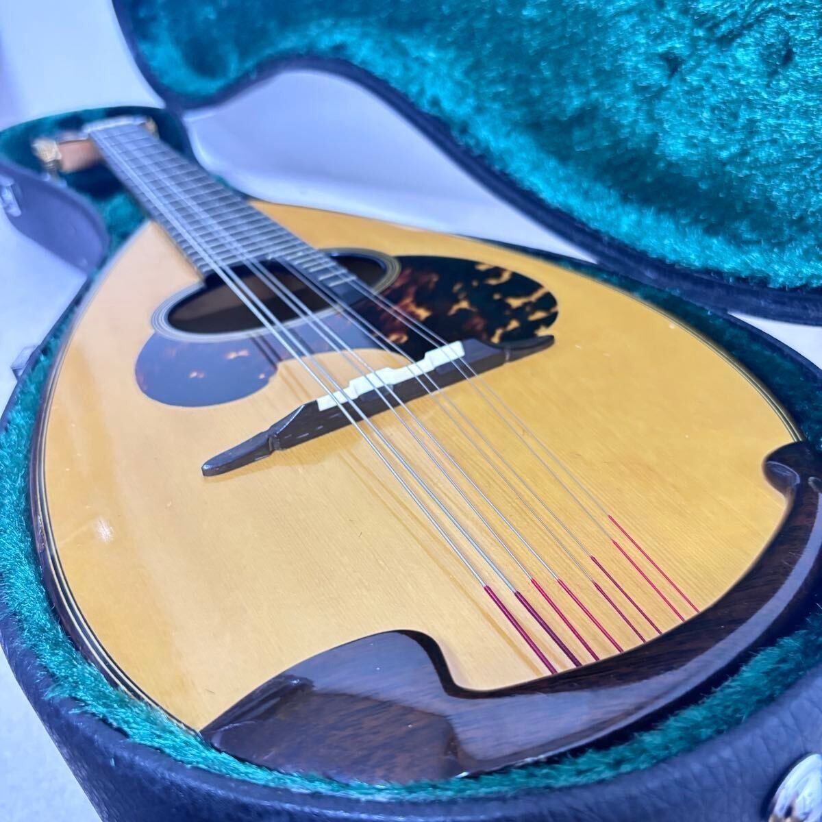 ☆ マンドリン M-80/M80 SUZUKI スズキ リブ構造 Mandolin M-80/M80 Suzuki Rib Structure | eBay