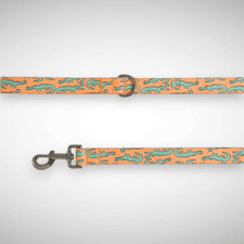 Top Paw Alligator Graphic Orange Green Nylon Dog Leash 4 FT D-Ring Handle