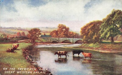 Farbige Postkarte Bala Gwynedd G.W.R. Brückenvieh auf der Tryweryn 0186