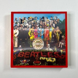 Beatles Sgt Pepper Box Set | eBay