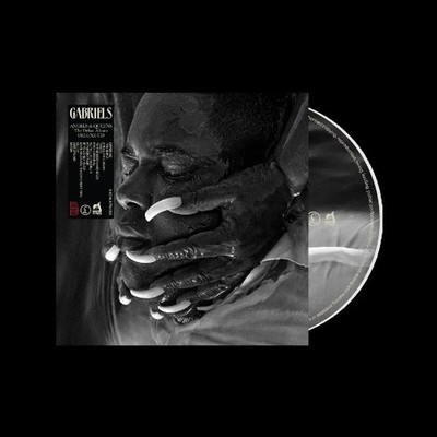 Angels & Queens (13 Track.) - Limited Edition, 1 Audio-CD | Gabriels | Englisch