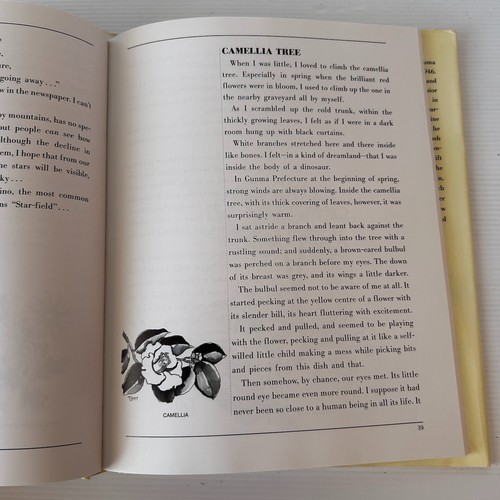 Tomihiro Hoshino Road of the Tinkling Bell Paintings Poems and Essays Hardcover - Picture 12 of 17