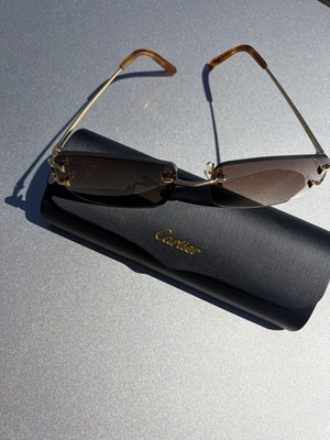 Cartier Wire Frames Luxury Rimless Designer Eyewear Brown Tint