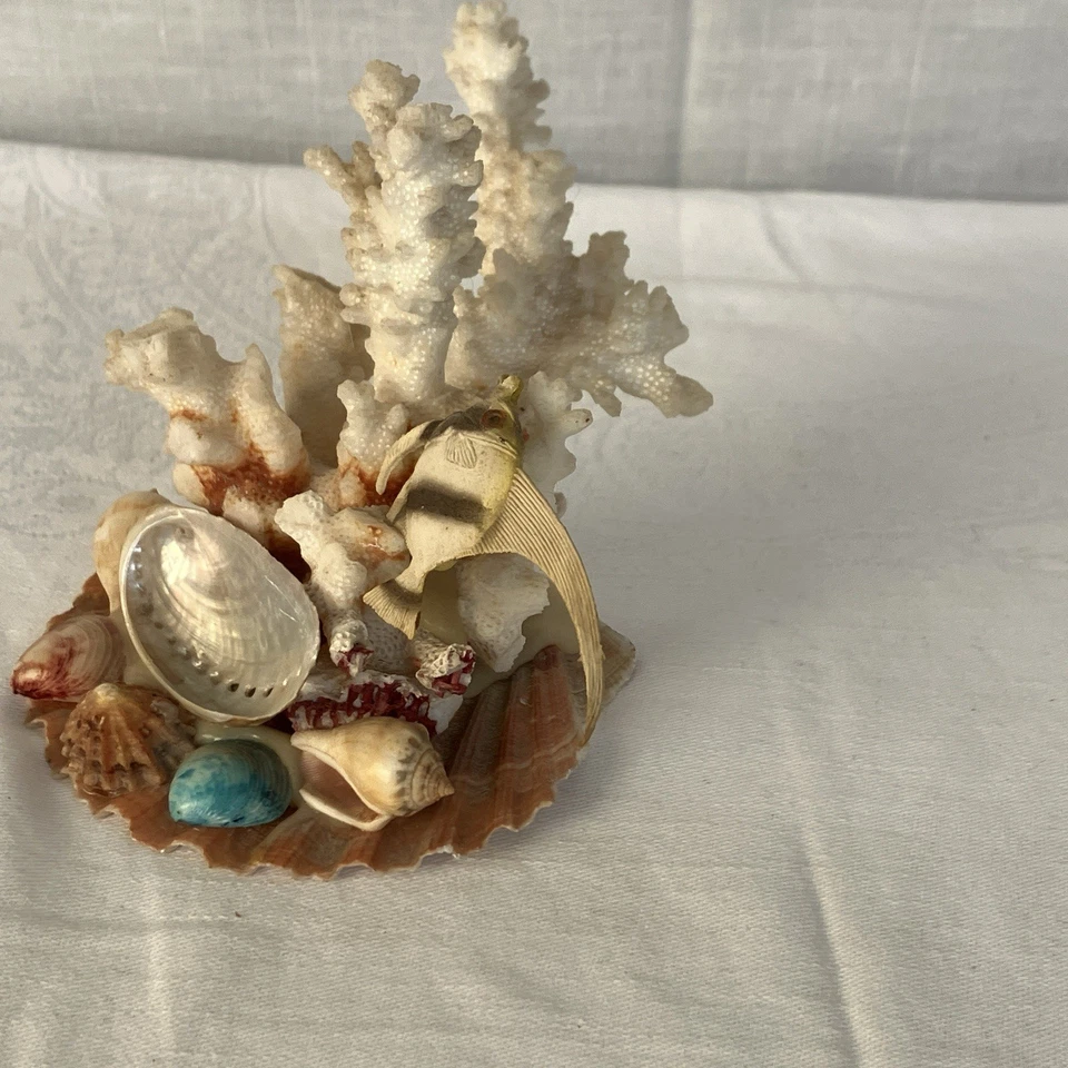 Natural Coral & Shell Sea Display Ornament 10 cm Tall x 10cm Wide Vintage - Image 2 of 4