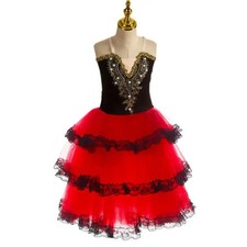 Ballet Tutu Skirt for Girls Kids Dress for Adult Women Soft Tulle Long Dress