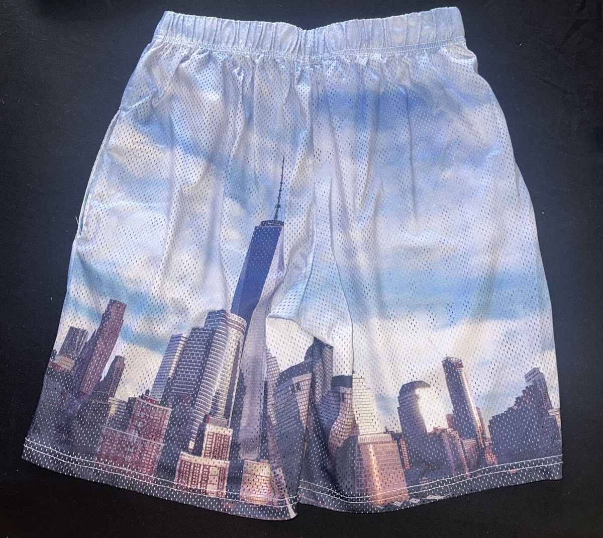 ERIC EMANUEL EE BASIC SKYLINE SHORTS 正規品 Eric Emanuel EE Basic Short Black Skyline Men's - SS22 - US