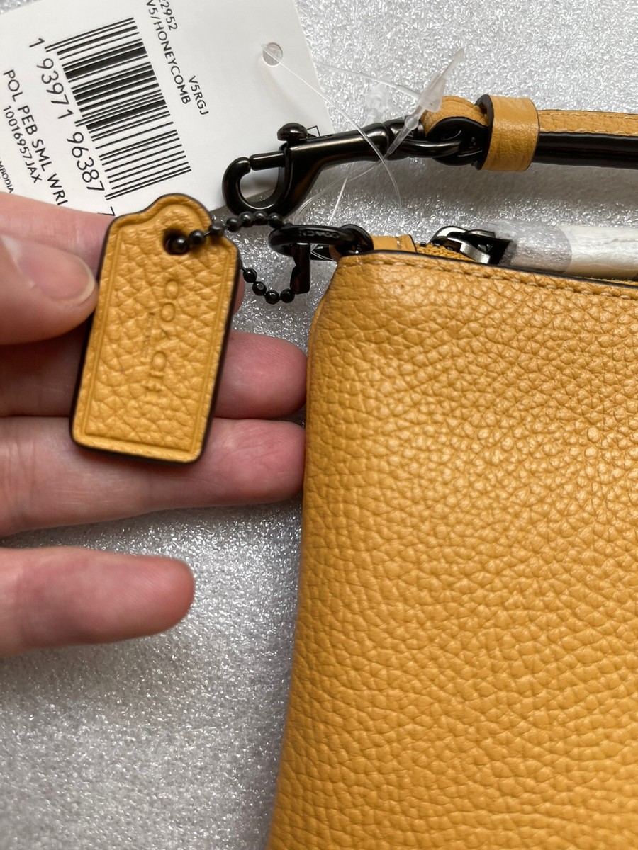 ミツバチ ミツバチたち - 株式会社 化学同人