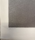 Foto 2 di 3