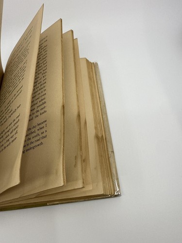 Ernest Hemingway / Green Hills of Africa 1st Edition 1935 - Foto 9 di 13