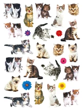 ADORABLE KITTEN KITTY CAT PHOTO STICKERS USA MADE #1 FAST USA SHIPPING